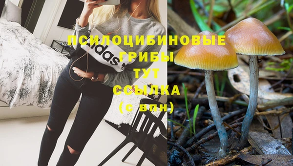 первитин Арсеньев