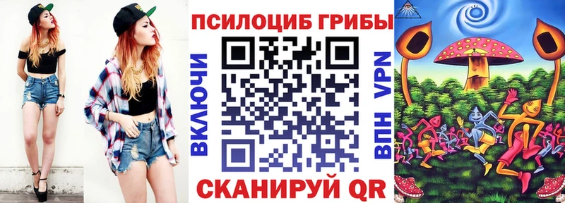 Галлюциногенные грибы Psilocybine cubensis  что такое   Шиханы 