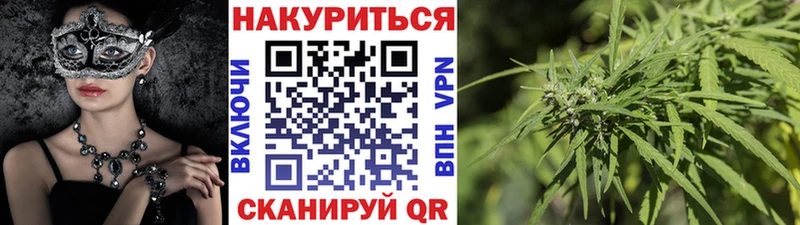 Каннабис OG Kush купить закладку Шиханы